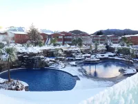 Oakridge Resort Lake Wanaka - Pools
