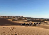 Overnight Camp Merzouga & Camel Tours