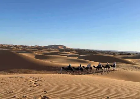 Overnight Camp Merzouga & Camel Tours