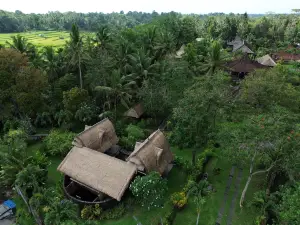 Permata Ayung Private Estate