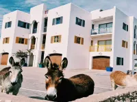 Raaswater Self Catering Hotels in Langebaan