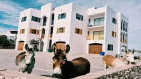 Raaswater Self Catering Hôtels à : Langebaan