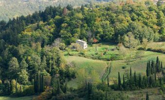 A Stay Surrounded by Greenery - Agriturismo la Piaggia -App 3 Guests