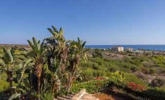 Ayia Napa Sycamore Seaview