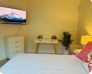 Flamingle in Palm Harbor