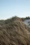 Grande Maison à Deux pas de la mer