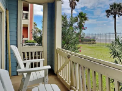 First Light - Dawn 613