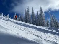 Cozy Big White Ski-In 1-bedroom condo. Sleeps 4-6+. RENOVATED! Pet-Friendly