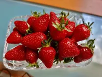 Spacious, quiet, A/C , Espresso machine, 2 queen beds, 50” Netflix TV, Hotels in Aarbergen