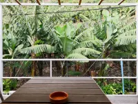 Farol Studio, One step away from the ocean Hotels in Ponta do Sol