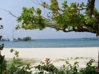 Luxurious beach front self-catering apartment in the heart of Ocho Rios, Jamaica