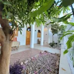 Private 4 bed villa with pool, overlooks Nile , 10mins from Kings Valley 테베 유적 주변 호텔