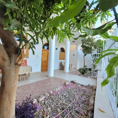 Private 4 bed villa with pool, overlooks Nile , 10mins from Kings Valley 底比斯古城及其墓地附近的飯店