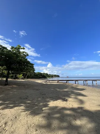 BEACHFRONT CASITA Snorkel & explore this amazing reef~ Experience Caribbean Life