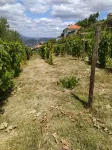 Quinta de Penelas