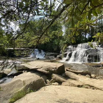 Have the Best of Both: Quick Access to Downtown Brevard & Pisgah Forest.