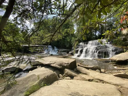 Have the Best of Both: Quick Access to Downtown Brevard & Pisgah Forest. Отели рядом с достопримечательностью «Lake Tahoe»