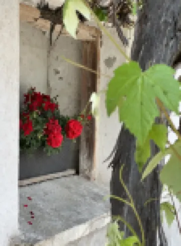 Wunderschöne, Moderne Ferienwohnung in Österreich mit dem Charme von 1750