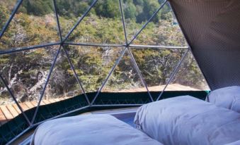 Huemules Reserva de Montana