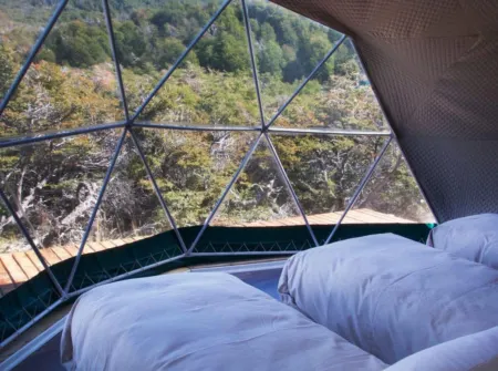 Huemules Reserva de Montana Отели в г. Футалеуфу