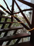 Casa Coronaa Holbox México