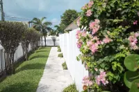 Royal Palm Hotel Hotels in 