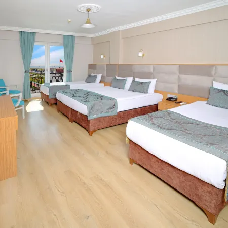 Istanbul Panorama Hotel Отели рядом с достопримечательностью «Зейтинбурну»