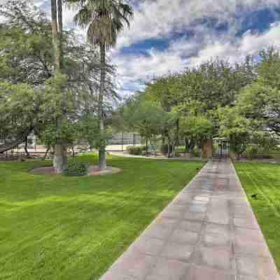 Tucson Home w/ BBQ & Patio, 5 Mi to A Mountain! Others
