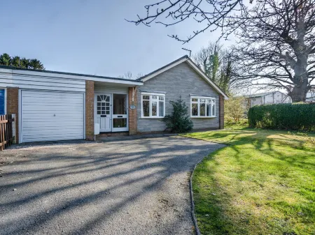 Trederwen Отели в г. Рейадер