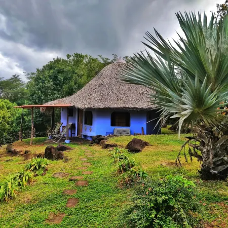 Finca del Sol Eco Lodge Отели в г. Урбайте