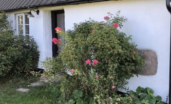 Lunkaberg Bed & Breakfast