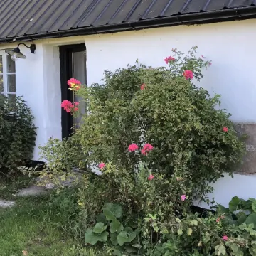 Lunkaberg Bed & Breakfast