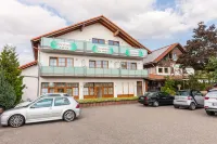 토니스 테넷 Hartheim am Rhein 호텔