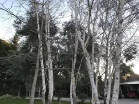 El Colibrí Cabañas de la Naturaleza