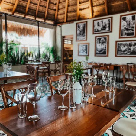 Blue Palm Bacalar
