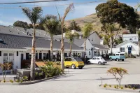 The Pacific Motel - Motels