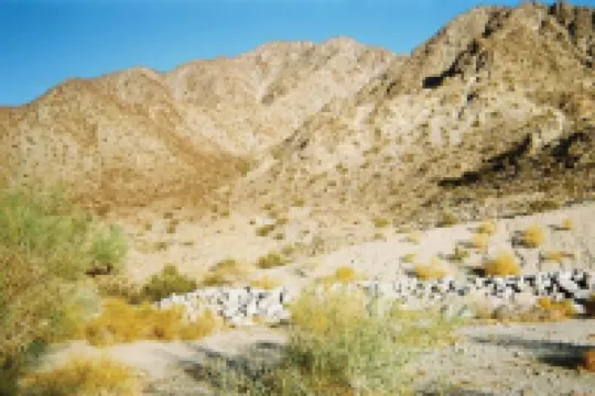 Turtle Back Mesa Bed and Breakfast