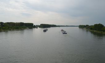 Zwei Raben Pension