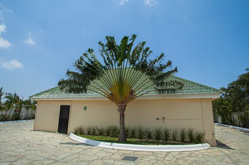 Hotel Luna Inn Hotels in Altamira