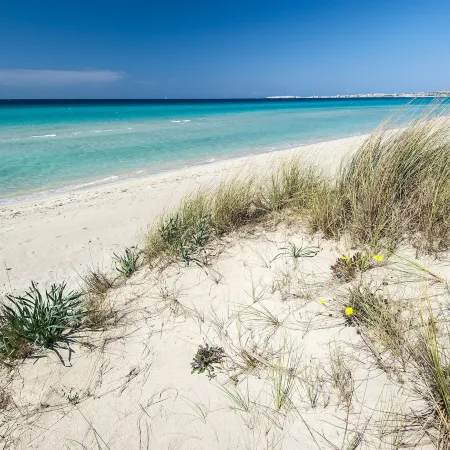 Ecoresort le Sirene - Caroli Hotels