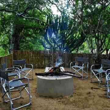 Lion Tree Top Lodge Hotel Exterior