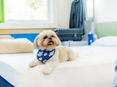 Ibis Budget Bilbao Arrigorriaga Hoteles en Arrigorriaga