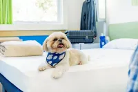 Ibis Budget Bilbao Arrigorriaga