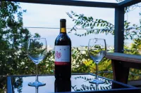 Cute Hilltop Hideaway Studio in LA