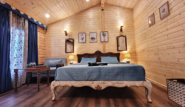 บัดรี รีสอร์ต มานา, บัดรินาถ