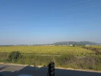 Airport Guest House
