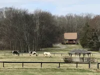 The Cabin at Flat Rock Farms - rustic charm on a beautiful former horse farm Hotels in Marshall County