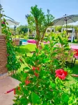 VILLA HASARD Hotel di Sidi Abdellah Ghiat