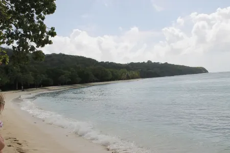 Villa in Garden Level 6/8 Pers on Swimming Pool 5 mn Walk from the Beach, in a Quiet Area Отели рядом с достопримечательностью «église Sainte-Thérèse-de-l'Enfant-Jésus du Rayol-Canadel-sur-Mer»