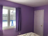 Beautiful Room, Comfortable Bed, South Facing Window